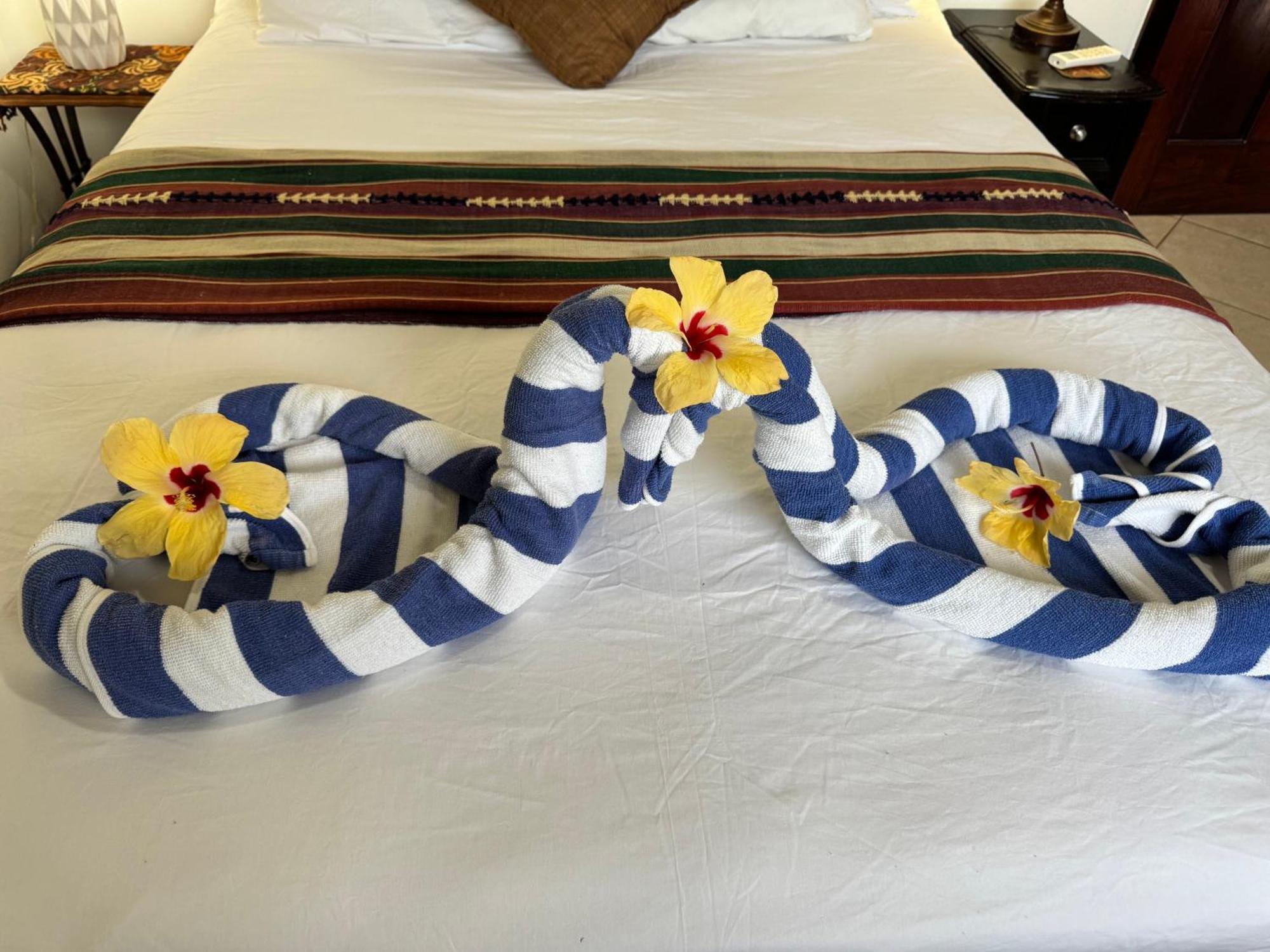 Caribbean Shores Belize 홉킨스 외부 사진